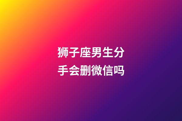 狮子座男生分手会删微信吗-第1张-星座运势-玄机派