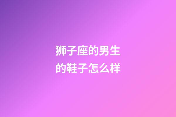 狮子座的男生的鞋子怎么样-第1张-星座运势-玄机派