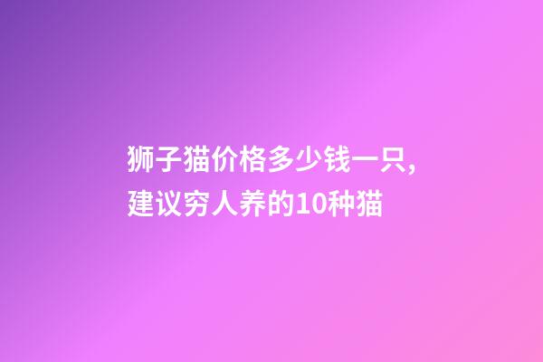 狮子猫价格多少钱一只,建议穷人养的10种猫-第1张-观点-玄机派