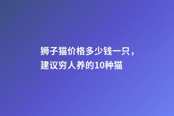 狮子猫价格多少钱一只，建议穷人养的10种猫-第1张-观点-玄机派