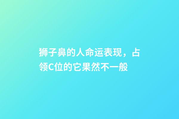 狮子鼻的人命运表现，占领C位的它果然不一般