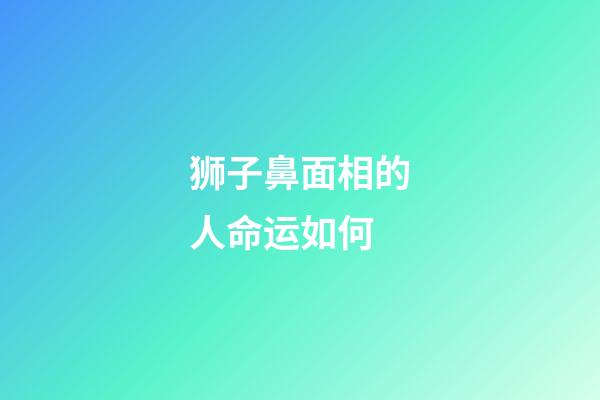 狮子鼻面相的人命运如何