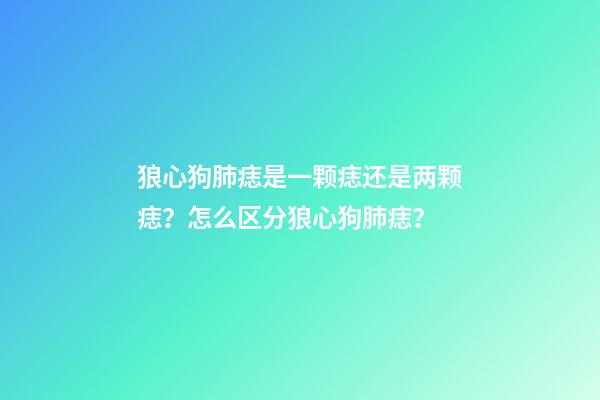 狼心狗肺痣是一颗痣还是两颗痣？怎么区分狼心狗肺痣？