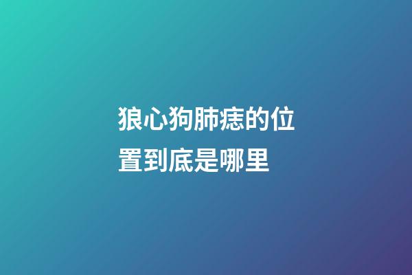 狼心狗肺痣的位置到底是哪里