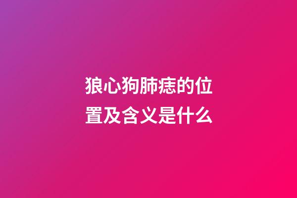狼心狗肺痣的位置及含义是什么