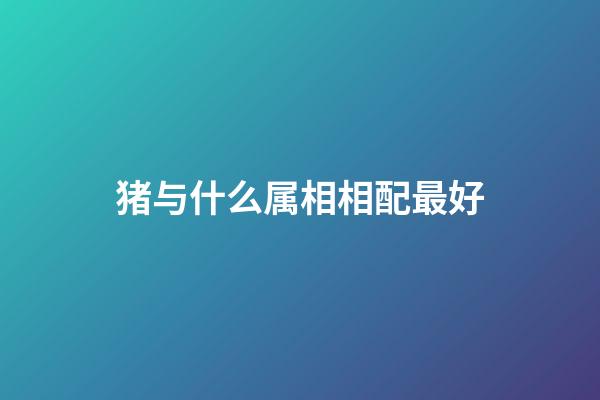 猪与什么属相相配最好