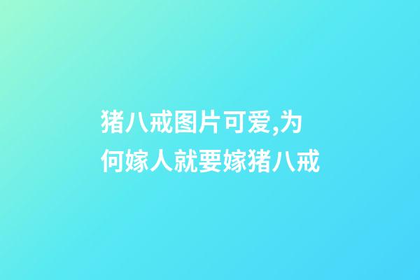 猪八戒图片可爱,为何嫁人就要嫁猪八戒-第1张-观点-玄机派
