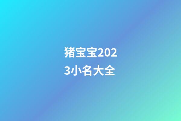 猪宝宝2023小名大全