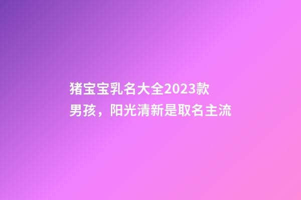 猪宝宝乳名大全2023款男孩，阳光清新是取名主流