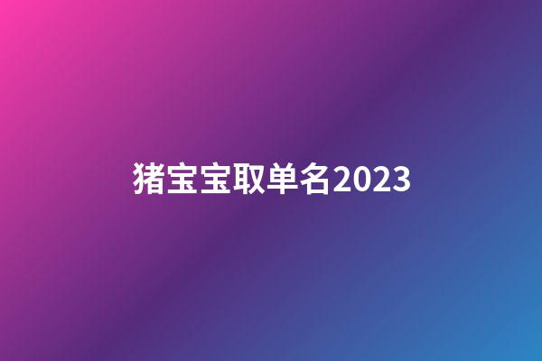 猪宝宝取单名2023