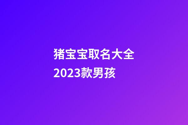 猪宝宝取名大全2023款男孩