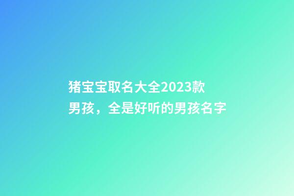 猪宝宝取名大全2023款男孩，全是好听的男孩名字