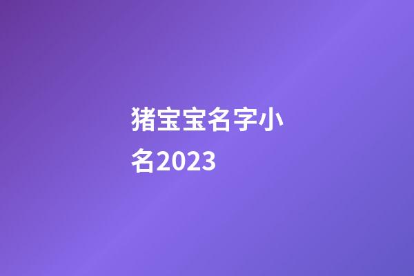 猪宝宝名字小名2023