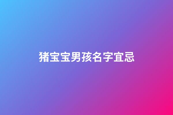 猪宝宝男孩名字宜忌