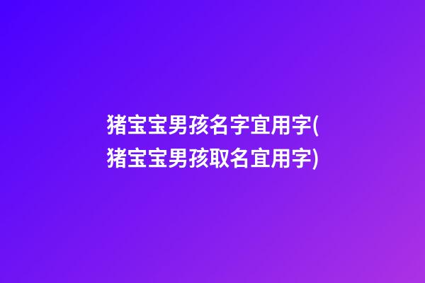 猪宝宝男孩名字宜用字(猪宝宝男孩取名宜用字)