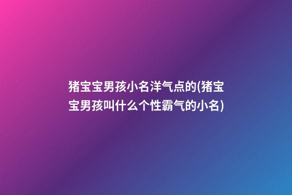 猪宝宝男孩小名洋气点的(猪宝宝男孩叫什么个性霸气的小名)