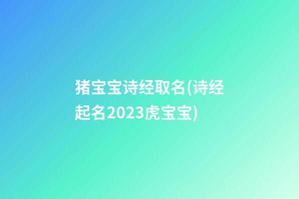 猪宝宝诗经取名(诗经起名2023虎宝宝)