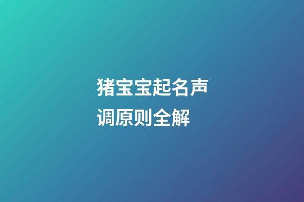 猪宝宝起名声调原则全解