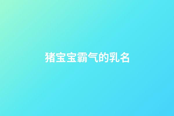 猪宝宝霸气的乳名