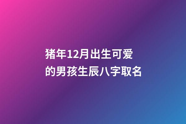 猪年12月出生可爱的男孩生辰八字取名