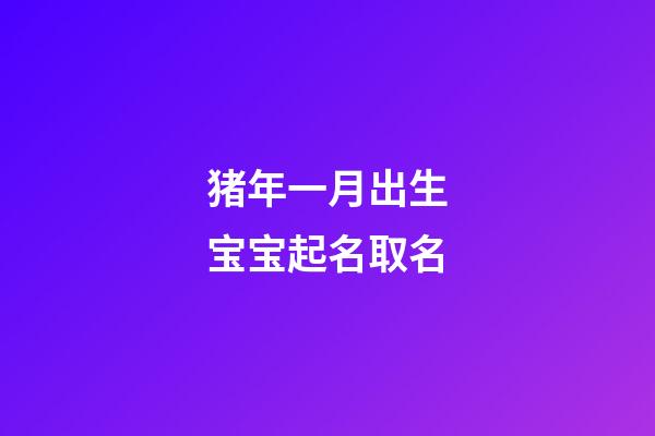 猪年一月出生宝宝起名取名