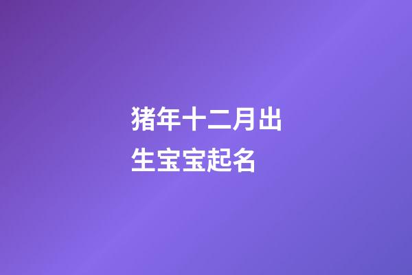 猪年十二月出生宝宝起名