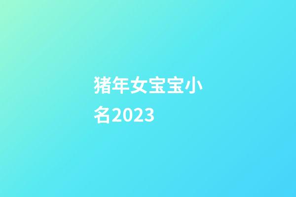 猪年女宝宝小名2023