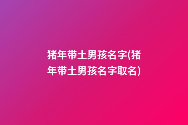 猪年带土男孩名字(猪年带土男孩名字取名)