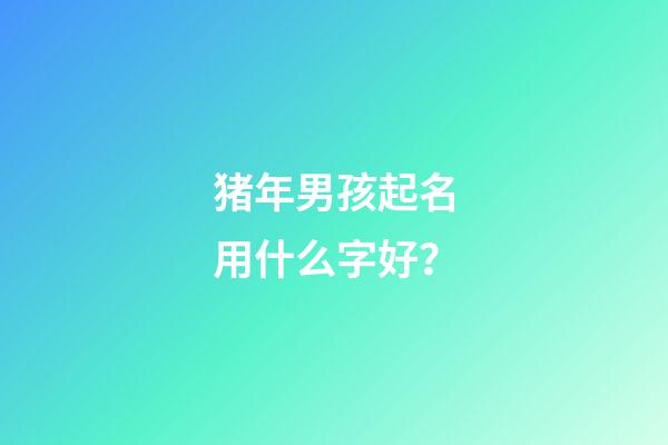 猪年男孩起名用什么字好？