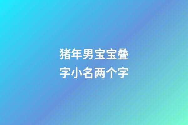 猪年男宝宝叠字小名两个字