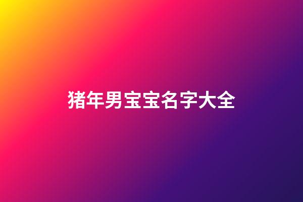 猪年男宝宝名字大全