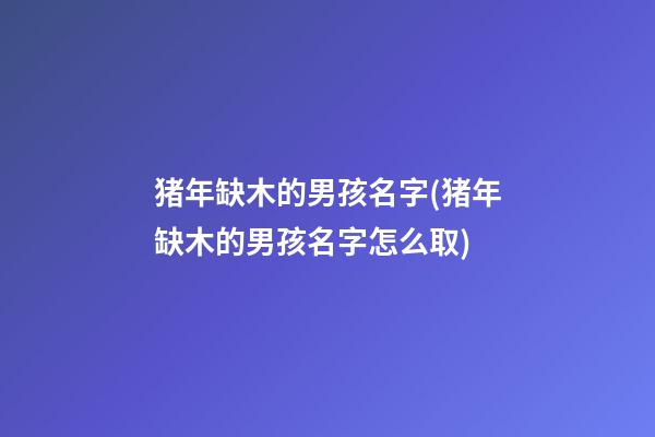 猪年缺木的男孩名字(猪年缺木的男孩名字怎么取)