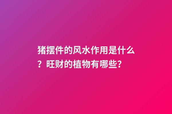 猪摆件的风水作用是什么？旺财的植物有哪些？