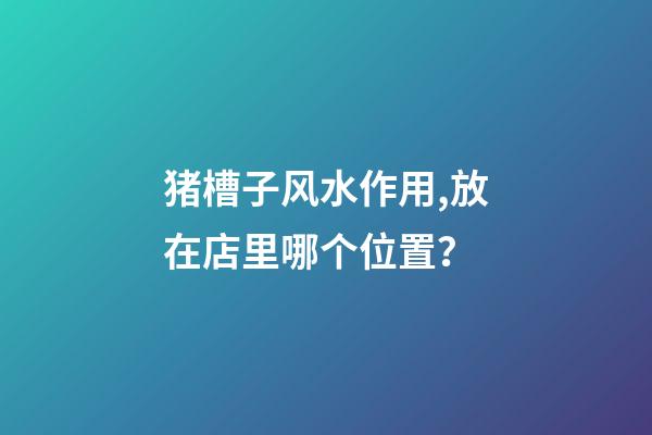 猪槽子风水作用,放在店里哪个位置？