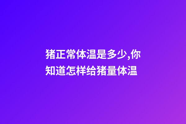 猪正常体温是多少,你知道怎样给猪量体温-第1张-观点-玄机派