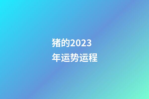 猪的2023年运势运程