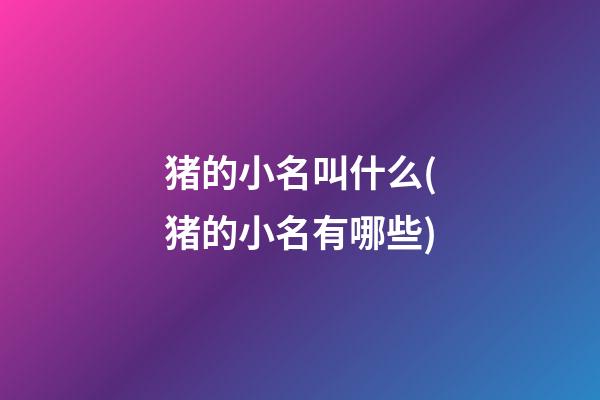 猪的小名叫什么(猪的小名有哪些)