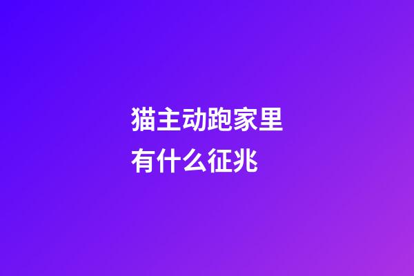 猫主动跑家里有什么征兆
