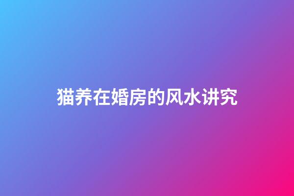 猫养在婚房的风水讲究