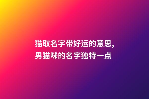 猫取名字带好运的意思,男猫咪的名字独特一点