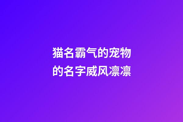 猫名霸气的宠物的名字威风凛凛
