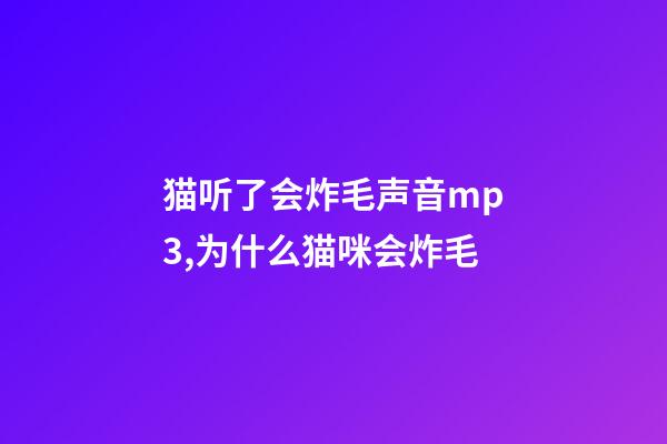 猫听了会炸毛声音mp3,为什么猫咪会炸毛-第1张-观点-玄机派