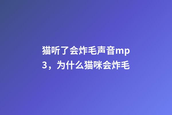 猫听了会炸毛声音mp3，为什么猫咪会炸毛-第1张-观点-玄机派