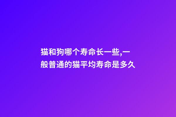 猫和狗哪个寿命长一些,一般普通的猫平均寿命是多久-第1张-观点-玄机派