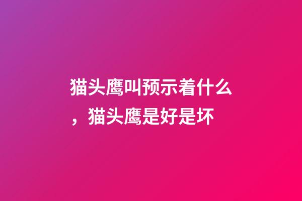 猫头鹰叫预示着什么，猫头鹰是好是坏