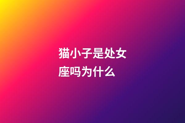 猫小子是处女座吗为什么-第1张-星座运势-玄机派