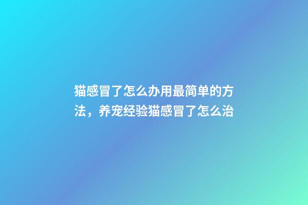 猫感冒了怎么办用最简单的方法，养宠经验猫感冒了怎么治-第1张-观点-玄机派