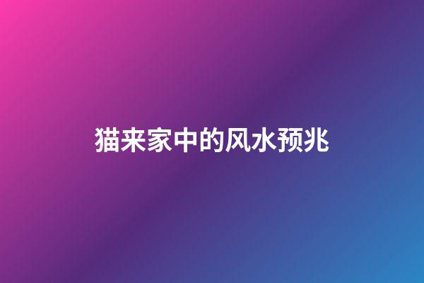 猫来家中的风水预兆