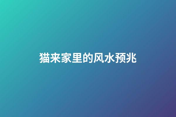 猫来家里的风水预兆