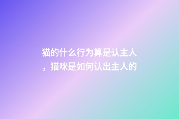 猫的什么行为算是认主人，猫咪是如何认出主人的-第1张-观点-玄机派